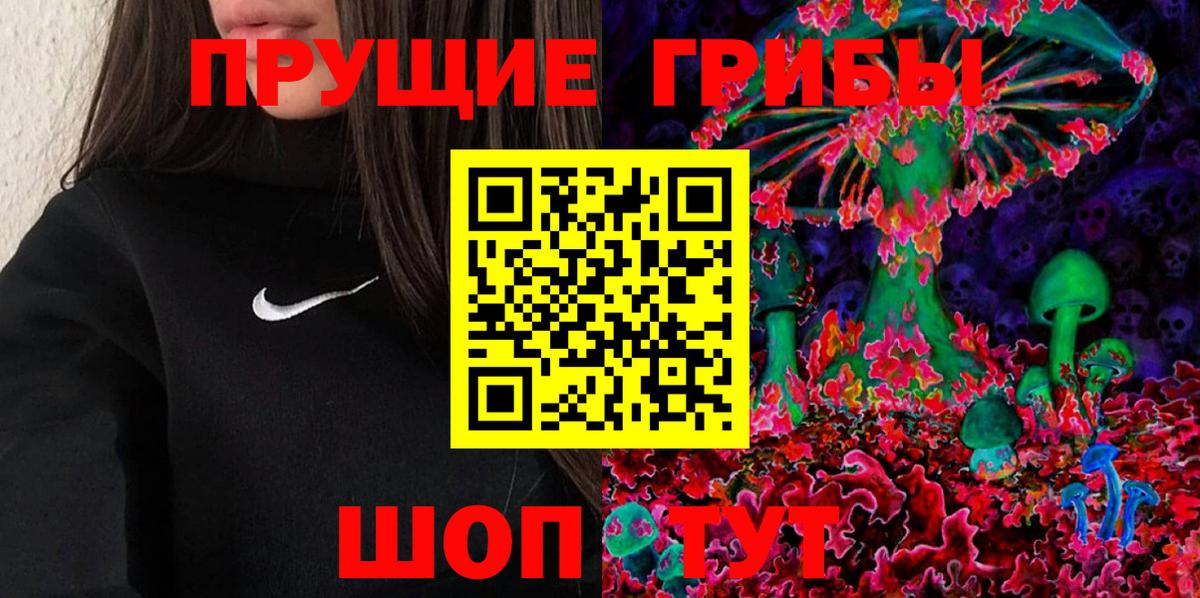 Псилоцибиновые грибы Psilocybe Холмск