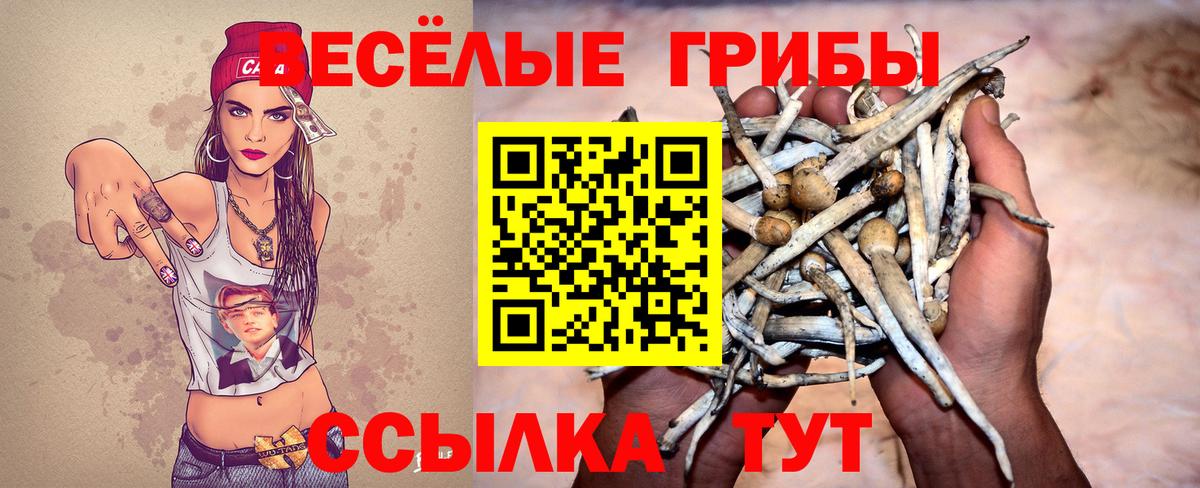 Галлюциногенные грибы Psilocybe  Галлюциногенные грибы Psilocybe  Холмск  Вход с VPN 